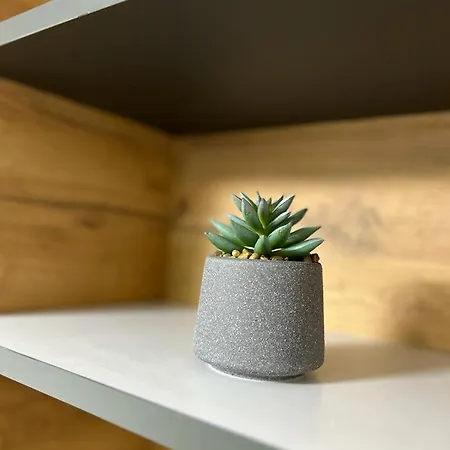 108 Lux Ravna Planina